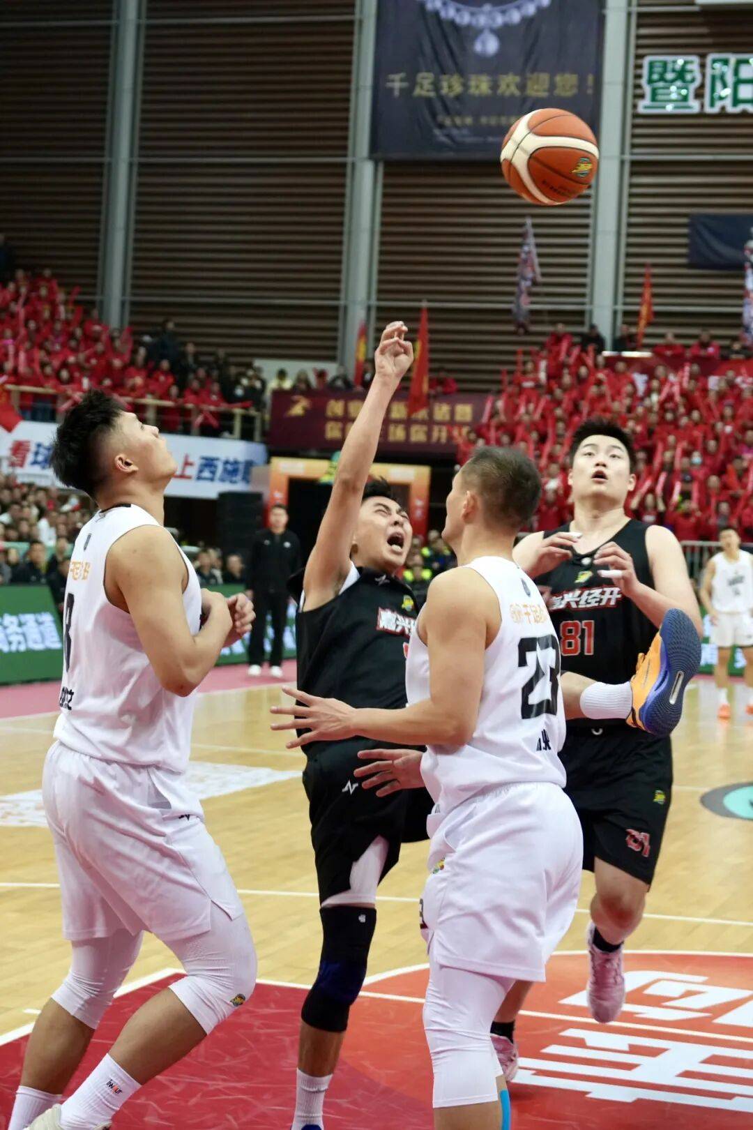 开云体育下载-徐千鲤曾昌云免费阅读